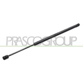 Heckklappendämpfer für VW von PRASCO