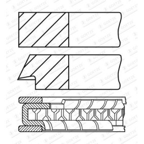 Achetez des Jeu de segments de pistons GOETZE ENGINE 08-430207-00 à prix pour 32,24 €