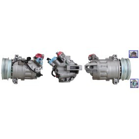 Klimakompressor 700511487