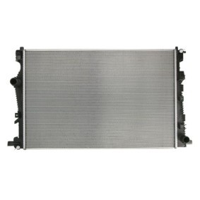 Achetez des Radiateur du moteur THERMOTEC D7Y081TT à prix pour 154,88 €
