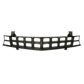 Kühlergrill 6502-07-1189990P