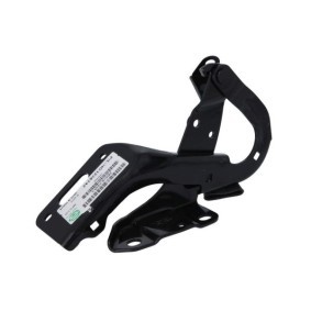Scharnier, Motorhaube 6802-00-2950451P