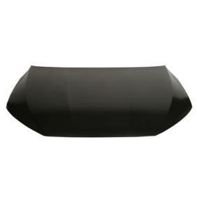 Motorhaube 6803-00-0039280AP