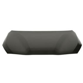 Motorhaube 6803-00-0071281P