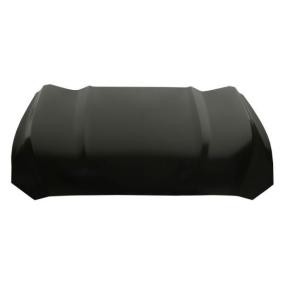 Motorhaube 6803-00-2568280AP