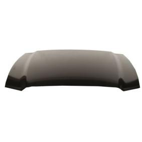 Motorhaube 6803-00-2585282AQ