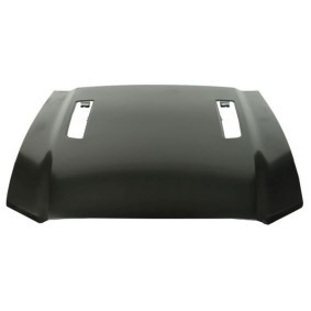 Motorhaube 6803-00-2585283AQ