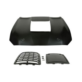 Motorhaube 6803-00-2586282AP