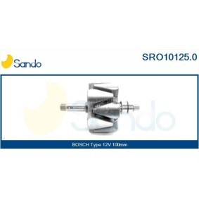RENAULT Rumpfgruppe Turbolader von SANDO