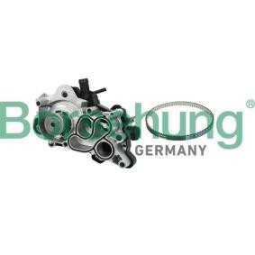 Wasserpumpe von Borsehung