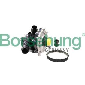Køb Vandpumpe af Borsehung B11210 til den lave pris 1064,35 DKK
