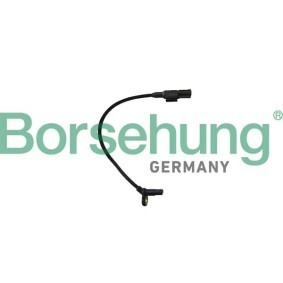 Køb ABS Sensor af Borsehung B12249 til den lave pris 553,99 DKK