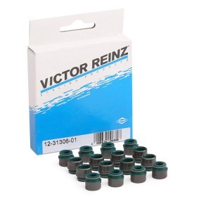 Dichtungssatz, Ventilschaft von REINZ 12-31306-01