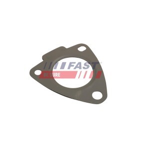 Turboladerdichtung von FAST FT48808