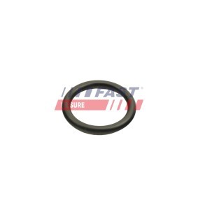 Acquista Guarnizione turbina da FAST FT48812 a buon mercato per soli 4,93 €