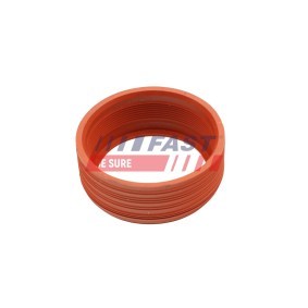 Achetez des Bague d'étanchéité, gaine de suralimentation FAST FT48948 à prix pour 9,92 €