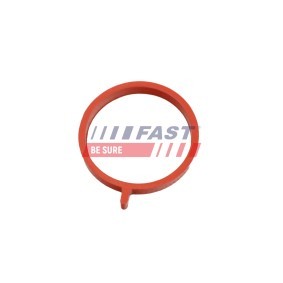 Achetez des Joint de collecteur d'admission FAST FT49459 à prix pour 23,79 €