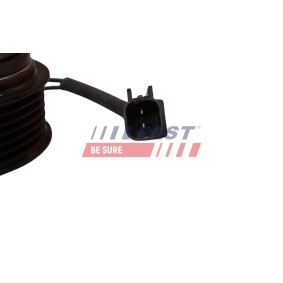 Achetez des Thermostat d'eau FAST FT58035 à prix pour 48,58 €