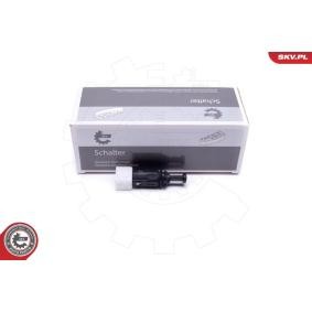 Compre Interruptor de luz de stop da ESEN SKV 38SKV808 a um preço baixo por 9,51 €