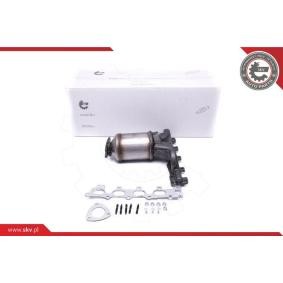 Katalysator 62SKV002