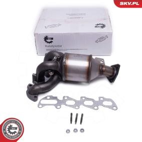 Katalysator 62SKV008