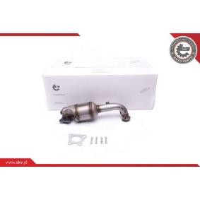 Katalysator 62SKV011