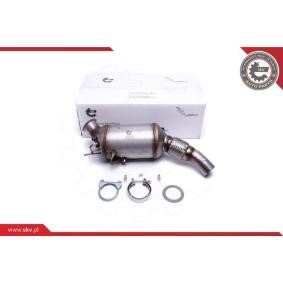 Partikelfilter (DPF) 62SKV500
