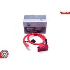 Batterieadapter 96SKV314