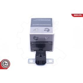 Überspannungsschutzgerät, Generator 96SKV317