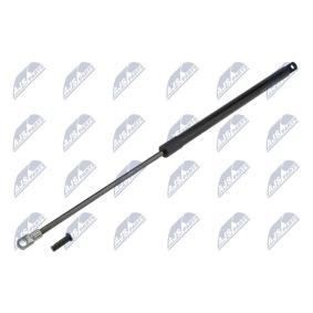 Osta Kaasujousi, tavaratila NTY:llä AE-FT-043 edullisesti hintaan 11,40 €