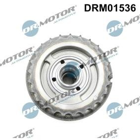 Acquista Regolatore albero a camme da DR.MOTOR AUTOMOTIVE DRM01536 a buon mercato per soli 209,41 €