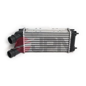 Køb Intercooler af JPN 60C9272-JPN til den lave pris 694,65 DKK