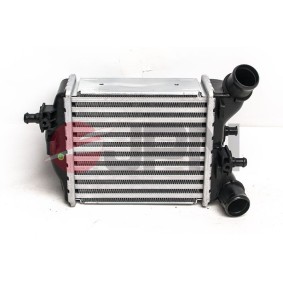 Køb Intercooler af JPN 60C9298-JPN til den lave pris 703,63 DKK