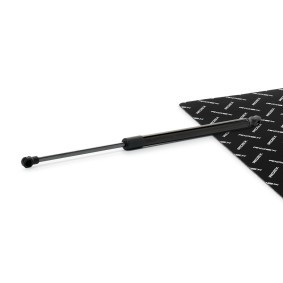 Achetez des Vérin de coffre RIDEX 219G1368 à prix pour 12,50 €