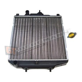 Achetez des Radiateur du moteur GT-BERGMANN GT10-171 à prix pour 48,40 €