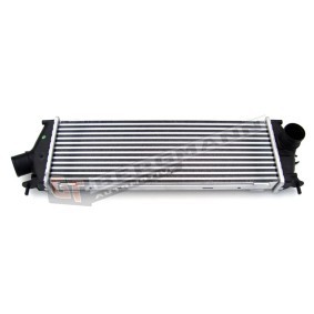 Acquista Intercooler da GT-BERGMANN GT12-011 a buon mercato per soli 142,05 €