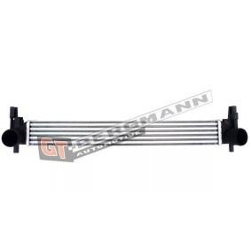 Acquista Intercooler da GT-BERGMANN GT12-023 a buon mercato per soli 95,54 €