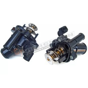 Achetez des Thermostat d'eau GT-BERGMANN GT17-006 à prix pour 51,02 €