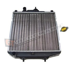 Achetez des Radiateur du moteur GT-BERGMANN GT1770078B10 à prix pour 25,57 €