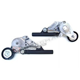 Comprar Brazo tensor, correa poli V de GT-BERGMANN GT21690 a bajo precio de 36,10 €