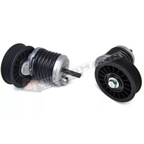Comprar Tensor de correa poli V de GT-BERGMANN GT51-001 a bajo precio de 29,94 €
