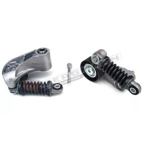 Comprar Tensor de correa poli V de GT-BERGMANN GT51-002 a bajo precio de 57,99 €