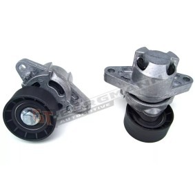 Comprar Tensor de correa poli V de GT-BERGMANN GT51-005 a bajo precio de 48,72 €