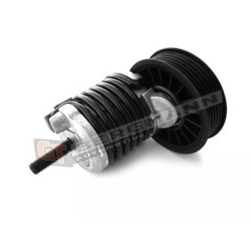 Comprar Brazo tensor, correa poli V de GT-BERGMANN GT51-025 a bajo precio de 27,56 €