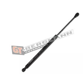 Heckklappendämpfer GT72-012