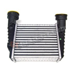 Köp Intercooler av GT-BERGMANN GT96680 till det låga priset 602,95 kr
