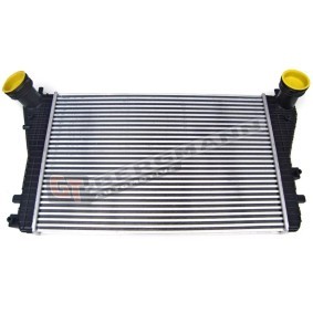 Köp Intercooler av GT-BERGMANN GT96715 till det låga priset 1124,62 kr