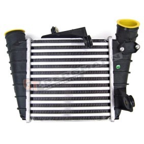 Köp Intercooler av GT-BERGMANN GT96770 till det låga priset 824,49 kr