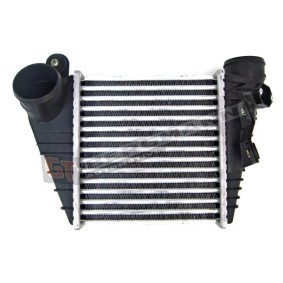 Köp Intercooler av GT-BERGMANN GT96847 till det låga priset 668,67 kr