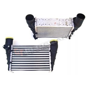 Acquista Intercooler da GT-BERGMANN GT96896 a buon mercato per soli 44,93 €